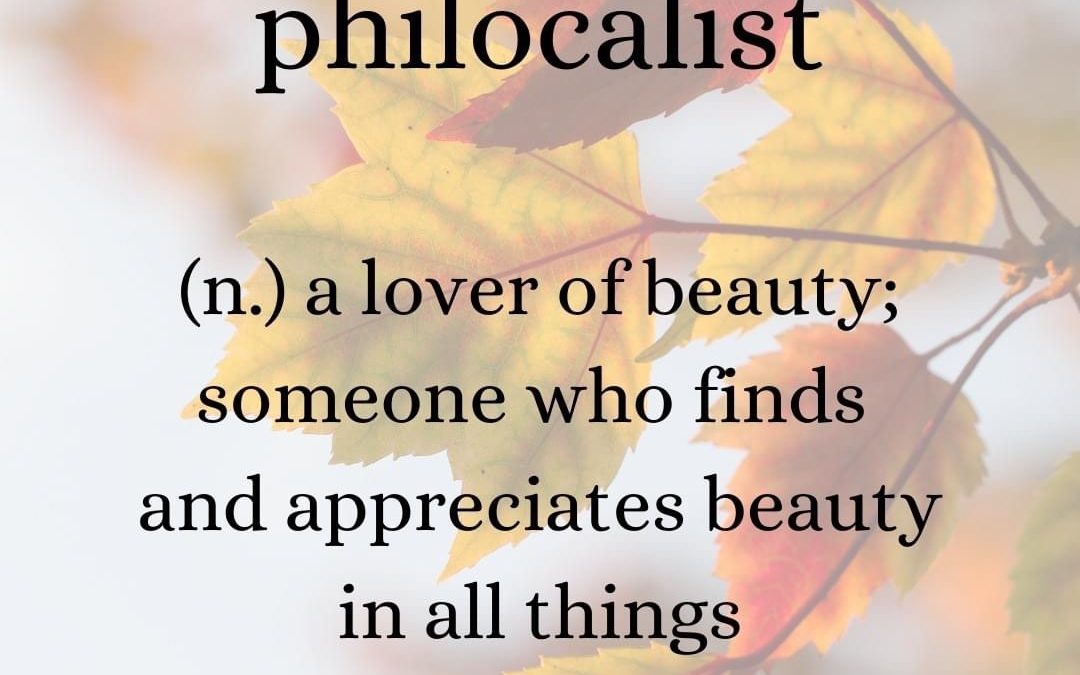 Philocalist (n.)